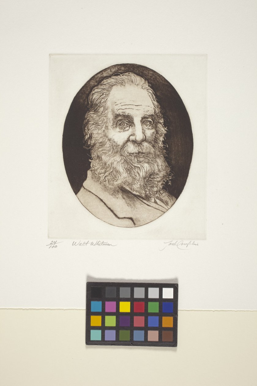 Ritratto di Walt Whitman da Unknown artist