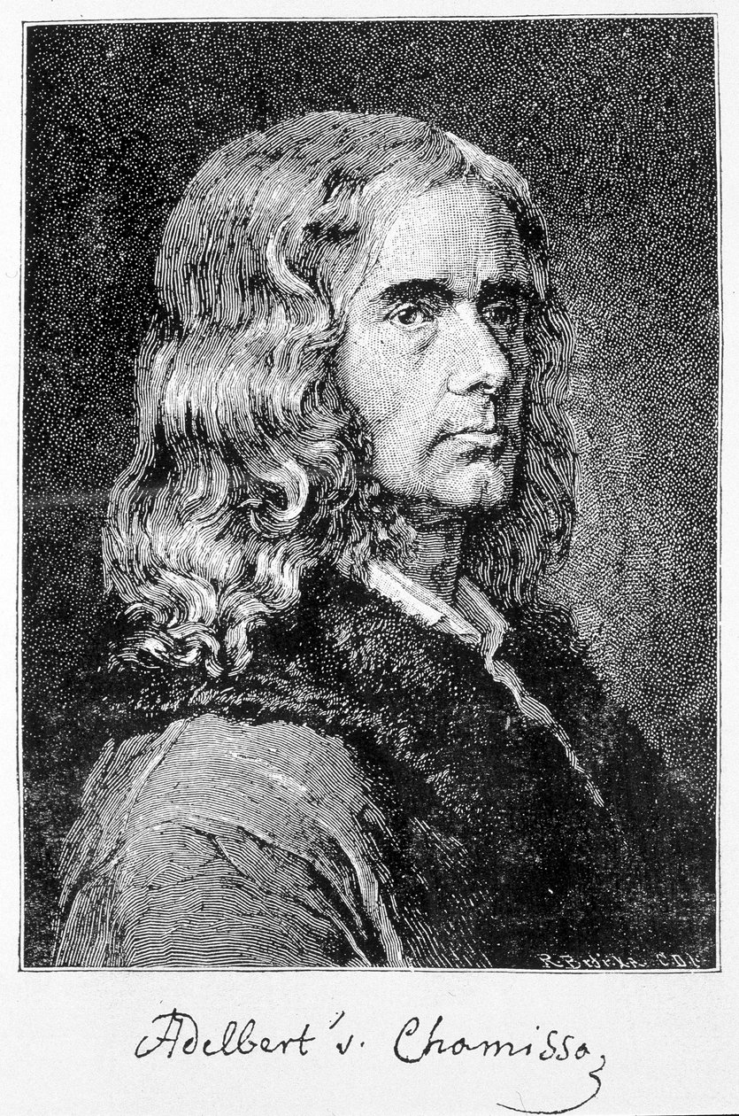 Ritratto di Aldebert Von Chamisso de Boncourt (1781-1838), scrittore e studioso tedesco di origine francese - incisione da Unknown artist
