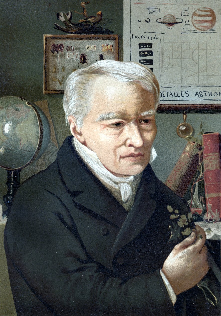 Ritratto di Alexander Von Humboldt da Unknown artist