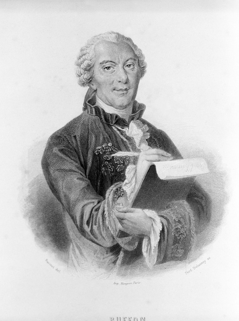 Ritratto di Buffon (1707 - 1788), naturalista e scrittore francese da Unknown artist