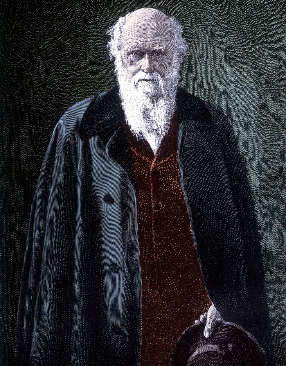 Ritratto di Charles Darwin, naturalista britannico (1809 - 1882) da Unknown artist