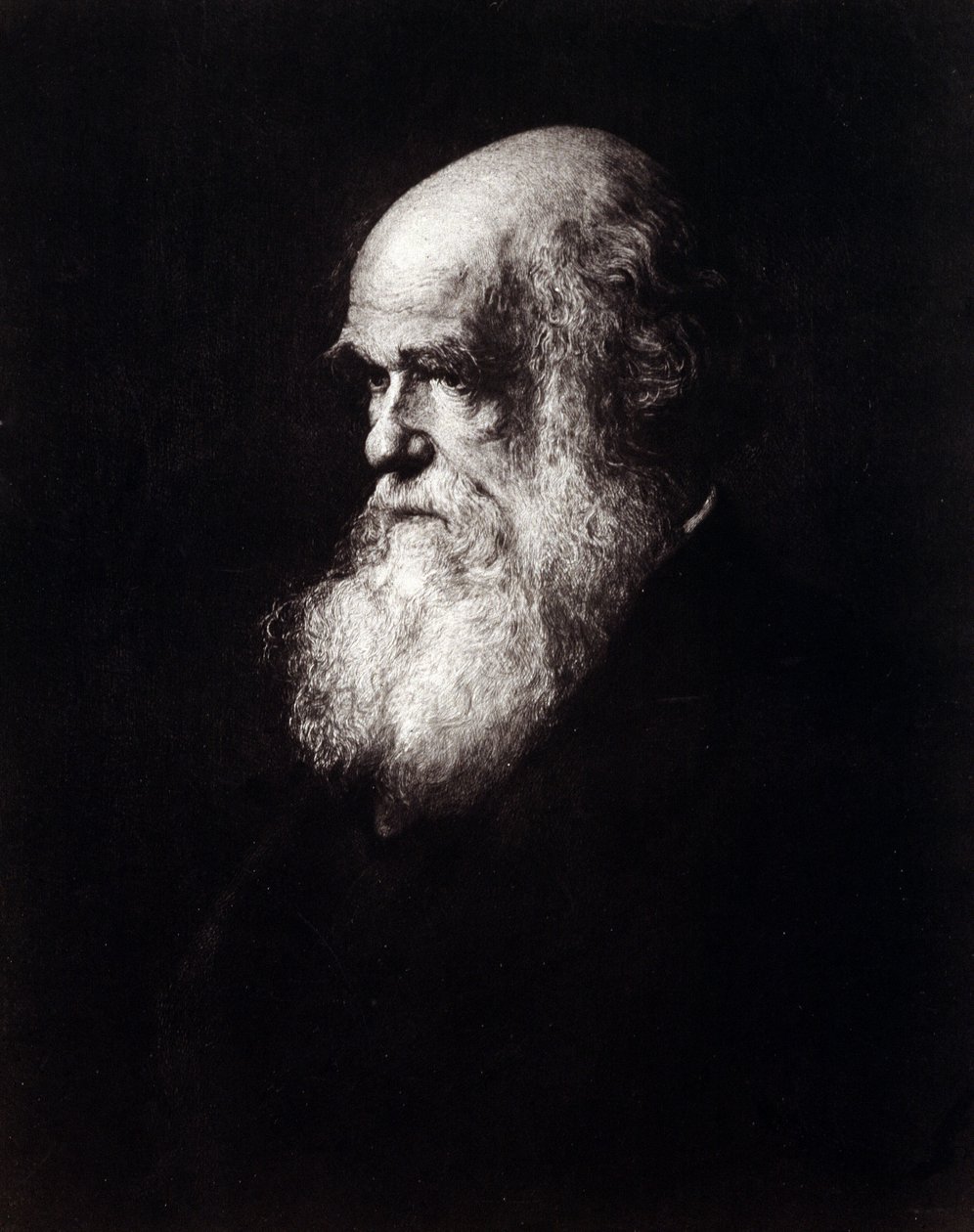 Ritratto di Charles Robert Darwin (1809 - 1882) da Unknown artist