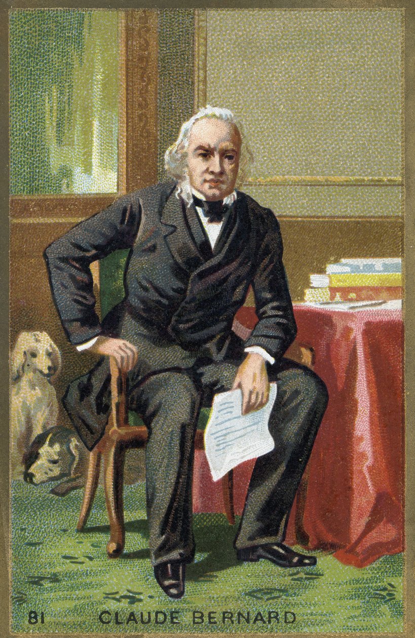 Ritratto di Claude Bernard (1813-1878), fisiologo francese da Unknown artist
