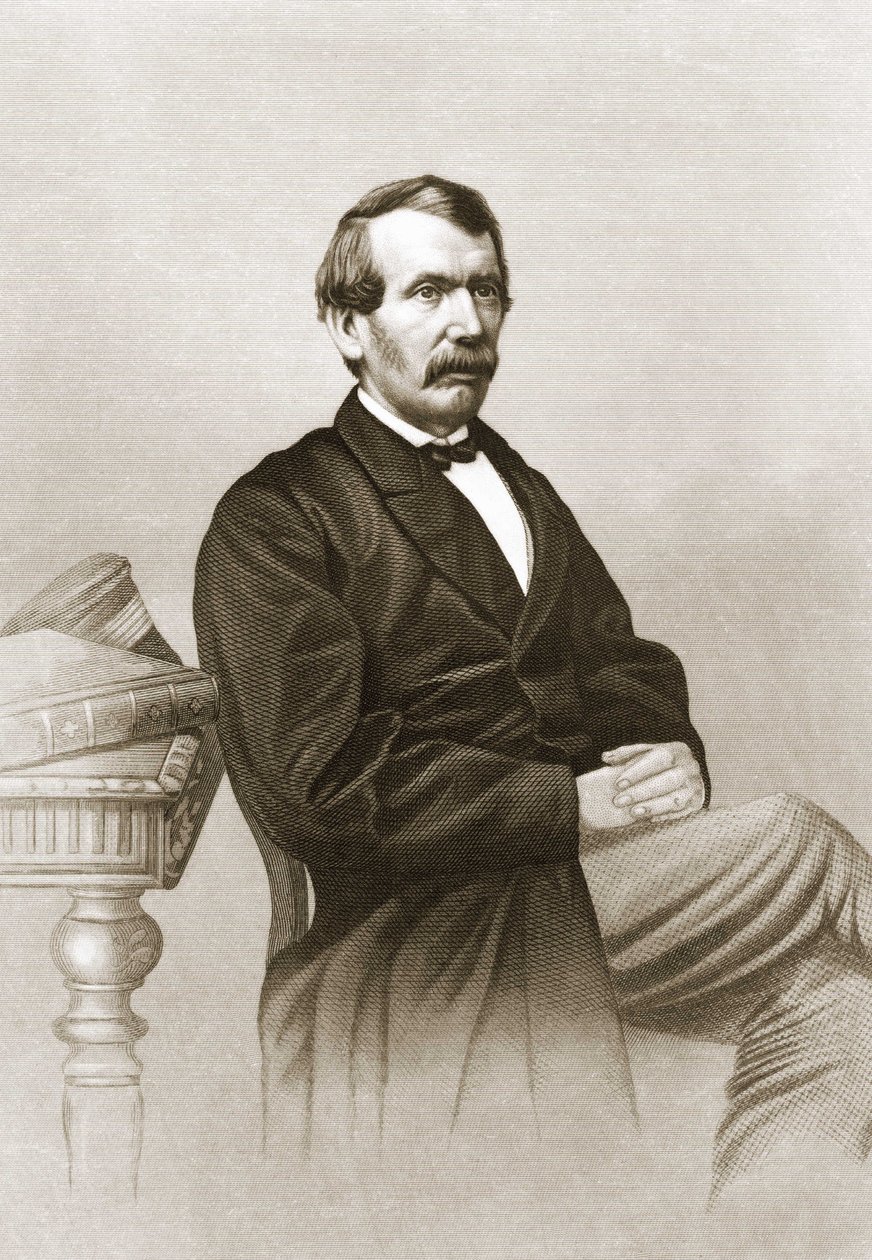 Ritratto di David Livingstone (1813 - 1873) da Unknown artist