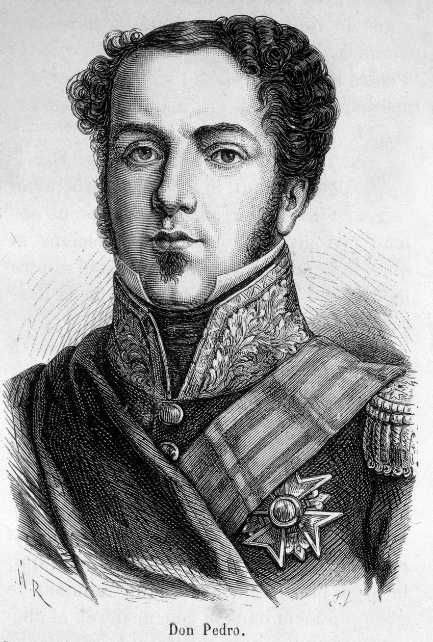 Ritratto di Don Pedro da Unknown artist