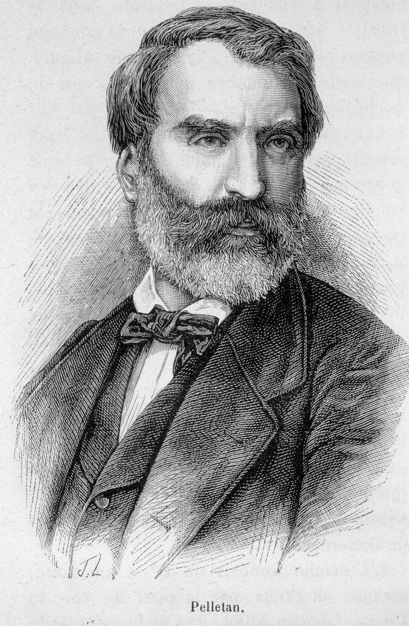 Ritratto di Eugene Pelletan (1813-1884), giornalista, scrittore e politico francese da Unknown artist