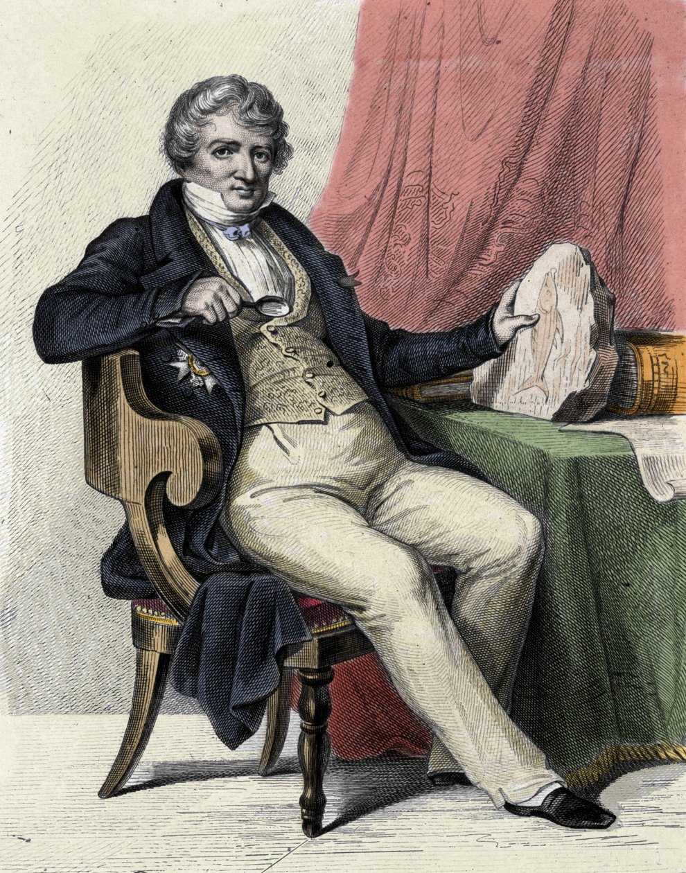 Ritratto di Georges Cuvier da Unknown artist