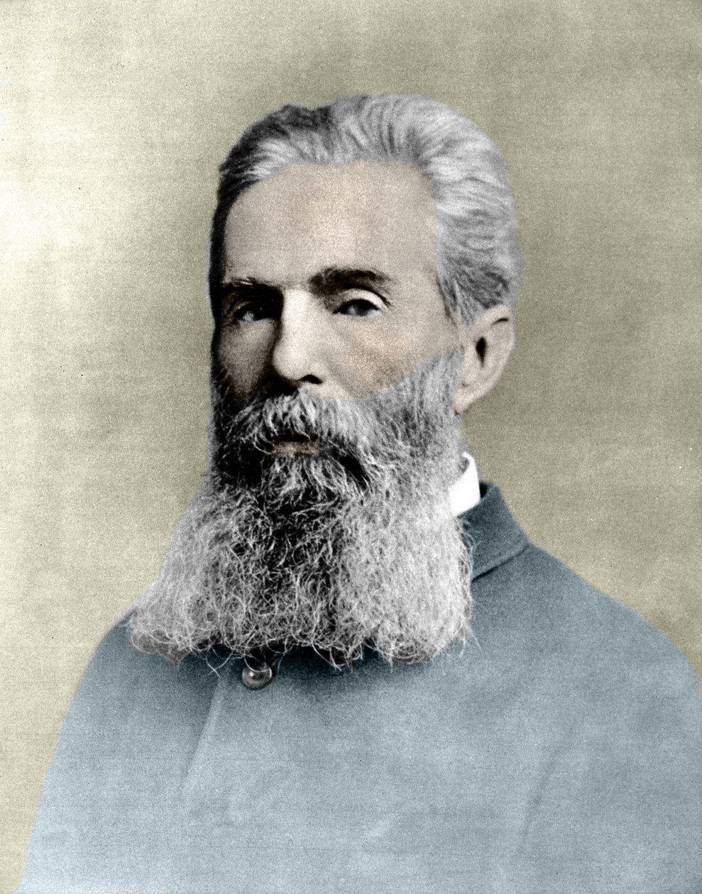 Ritratto di Herman Melville (1819-1891) romanziere americano da Unknown artist