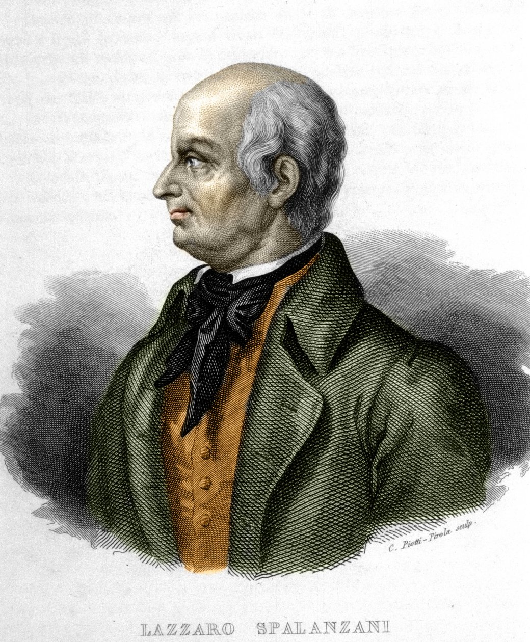 Ritratto di Lazzaro Spallanzani, biologo italiano (1729 - 1799) da Unknown artist