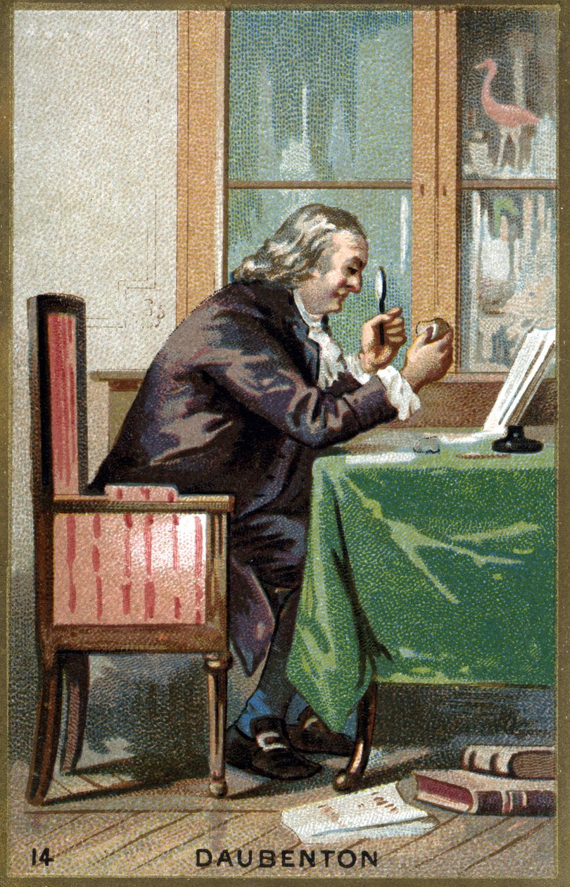 Ritratto di Louis Jean Marie Daubenton, detto Daubenton (1716 - 1800), naturalista francese (cromolitografia del XIX secolo) da Unknown artist