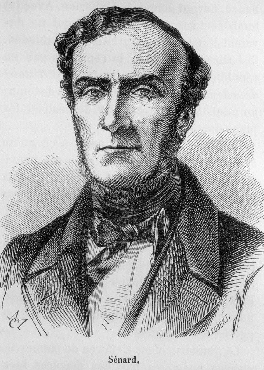 Ritratto di Marie Antoine Jules Senard, membro del Foro di Parigi, ex Presidente dell