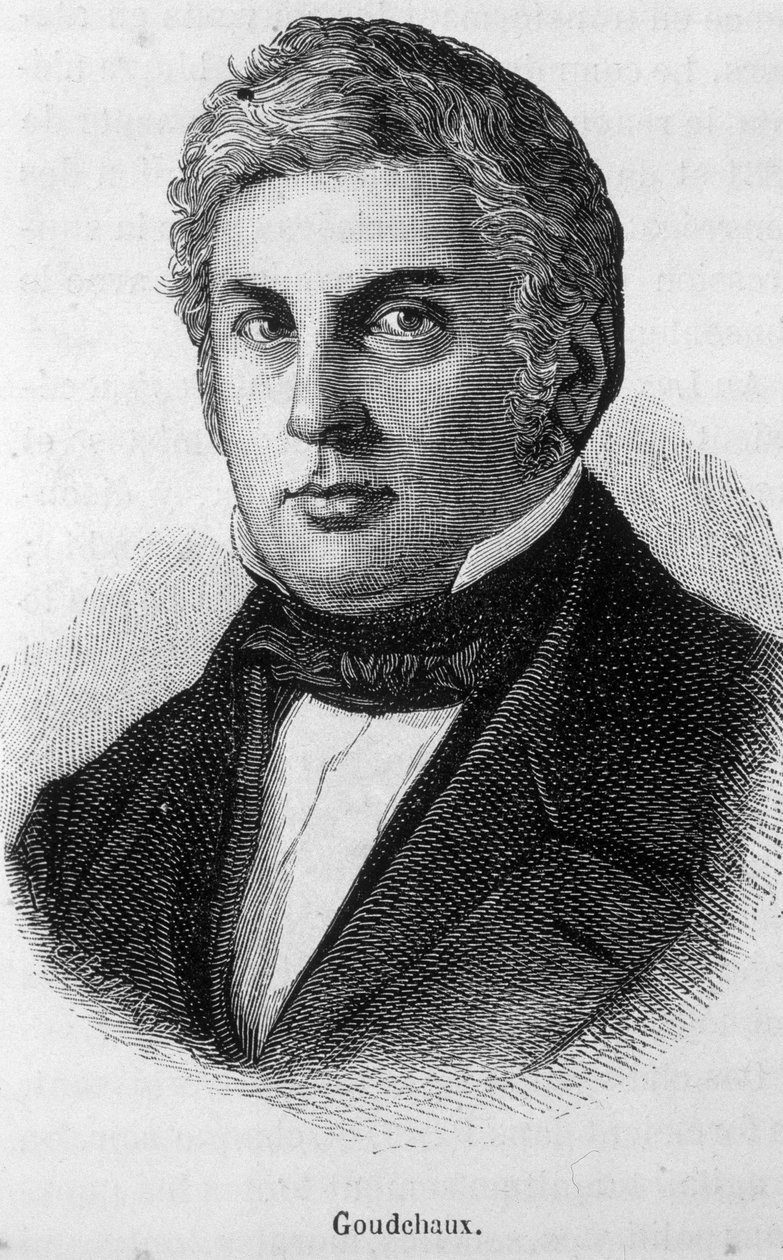 Ritratto di Michel Goudchaux da Unknown artist