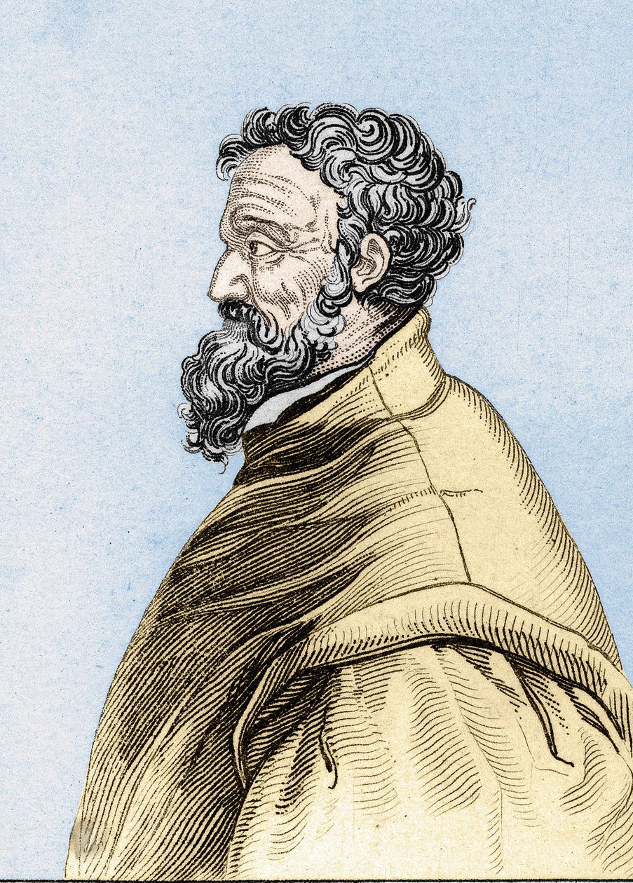 Ritratto di Michelangelo Buonarroti detto Michelangelo da Unknown artist