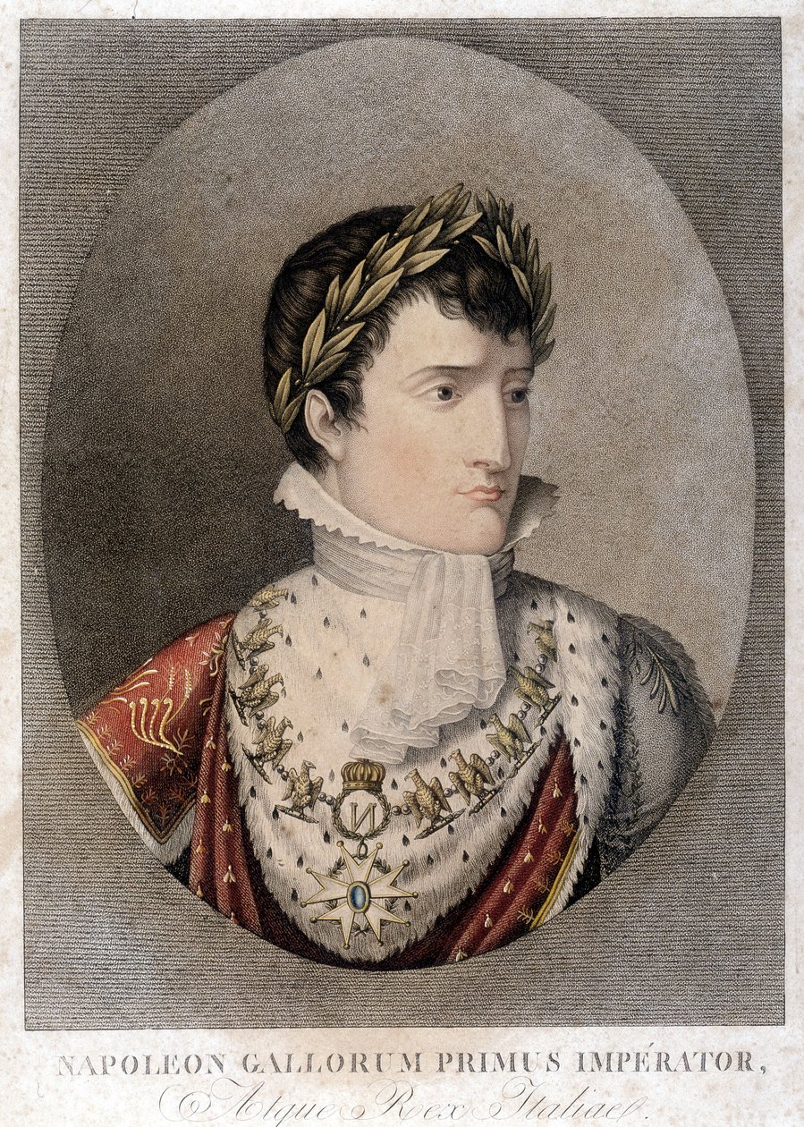 Ritratto di Napoleone Imperatore da Unknown artist