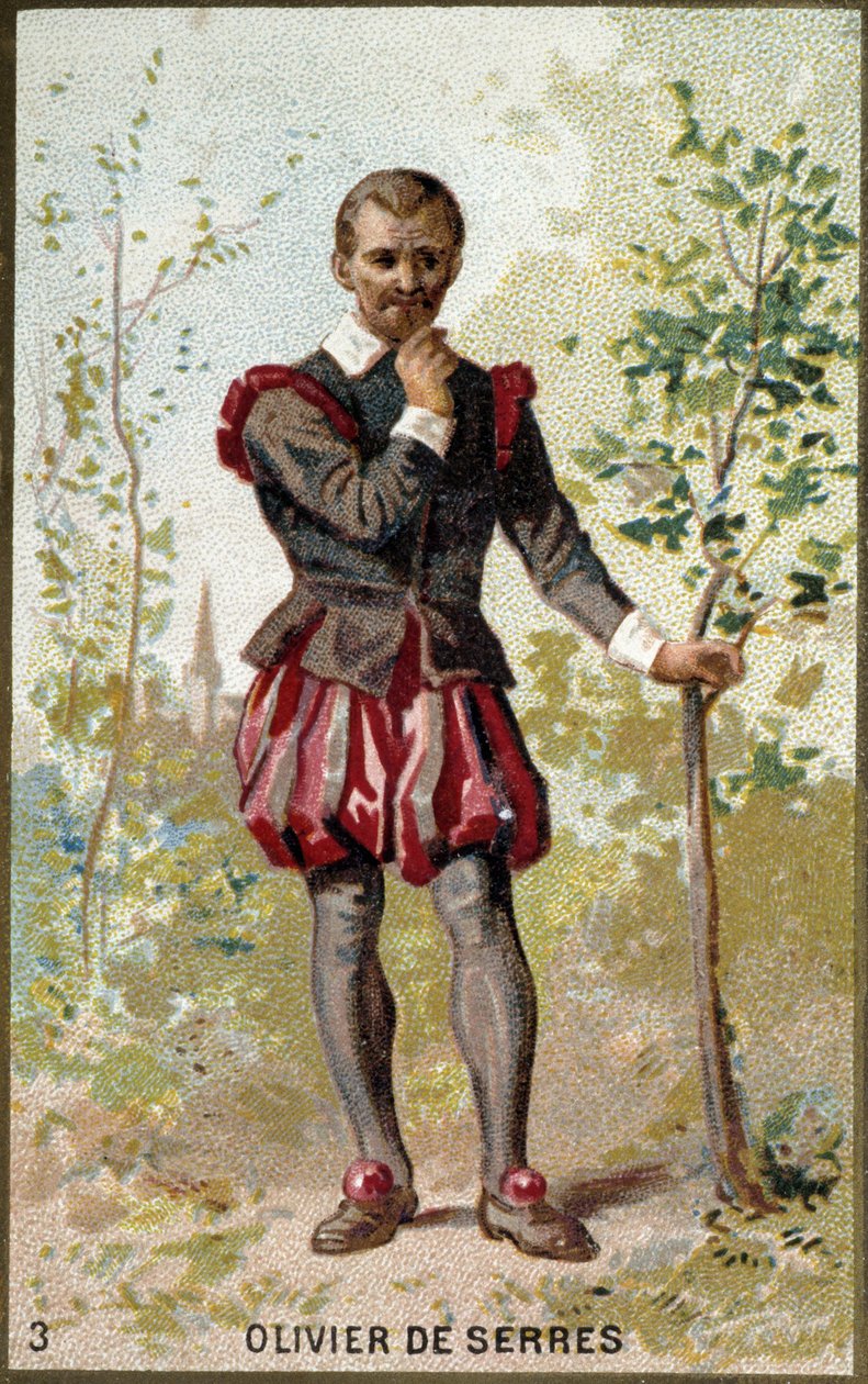 Ritratto di Olivier de Serres (1539 - 1619), agronomo francese. Cromolitografia del XIX secolo. da Unknown artist