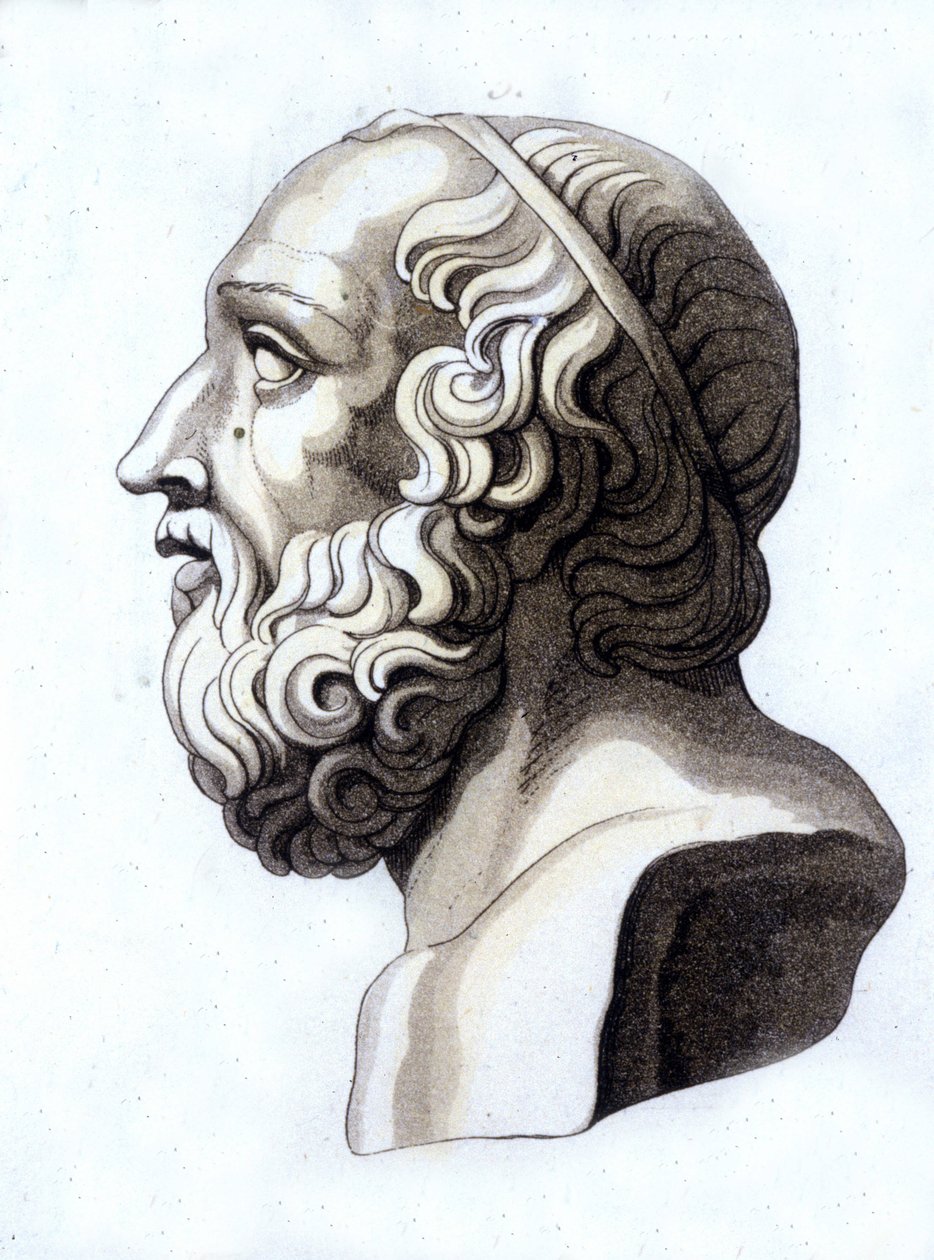 Ritratto di Platone (-428; -348). da Unknown artist