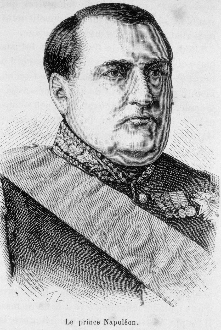 Ritratto del Principe Napoleone da Unknown artist