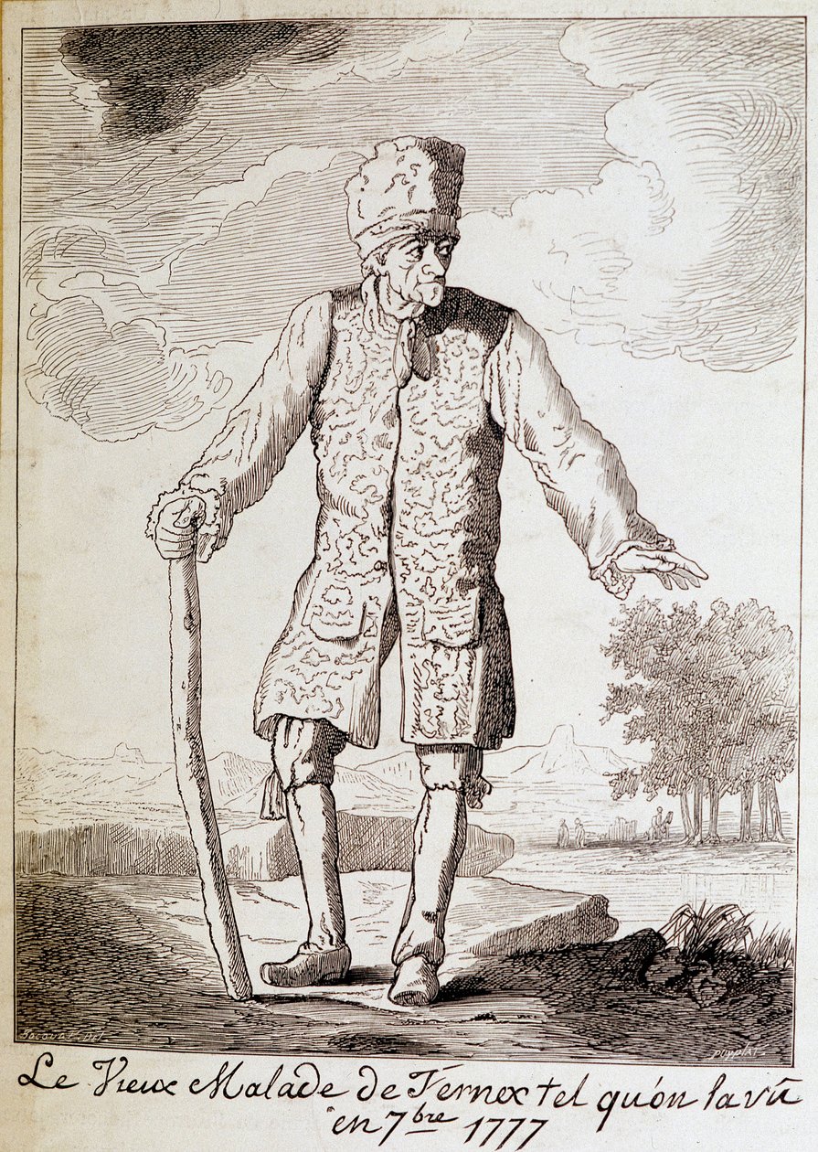 Ritratto di Voltaire (1694-1778), scrittore e filosofo francese, anziano da Unknown artist
