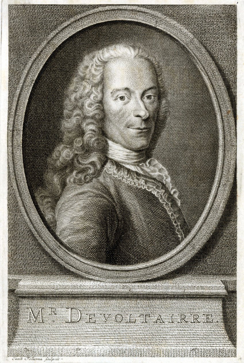 Ritratto di Voltaire. Incisione del XIX secolo da Unknown artist