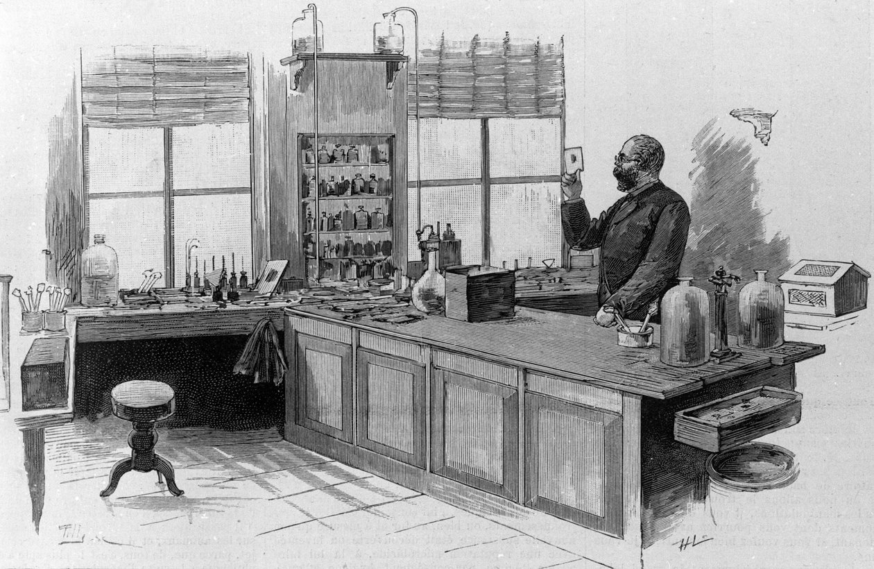 Ritratto del medico tedesco Robert Koch (1843-1910) nel suo laboratorio da Unknown artist