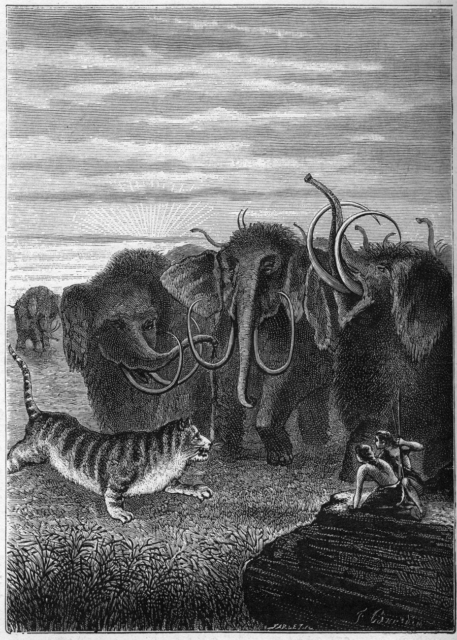 Preistoria: Mammut e gatti giganti delle caverne. Incisione da 