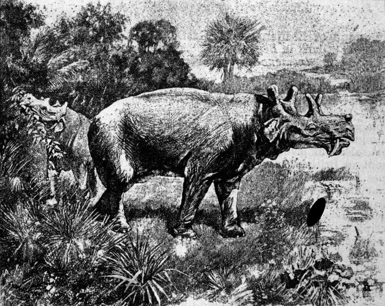 Preistoria: rappresentazione di un Uintatherium a quattro corna da Unknown artist