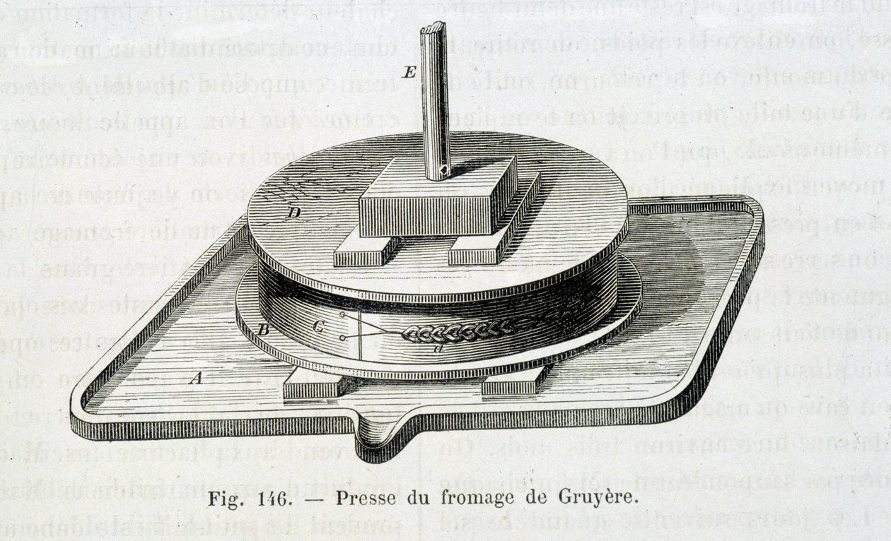 Presse à gruyère - in "Le meraviglie dell