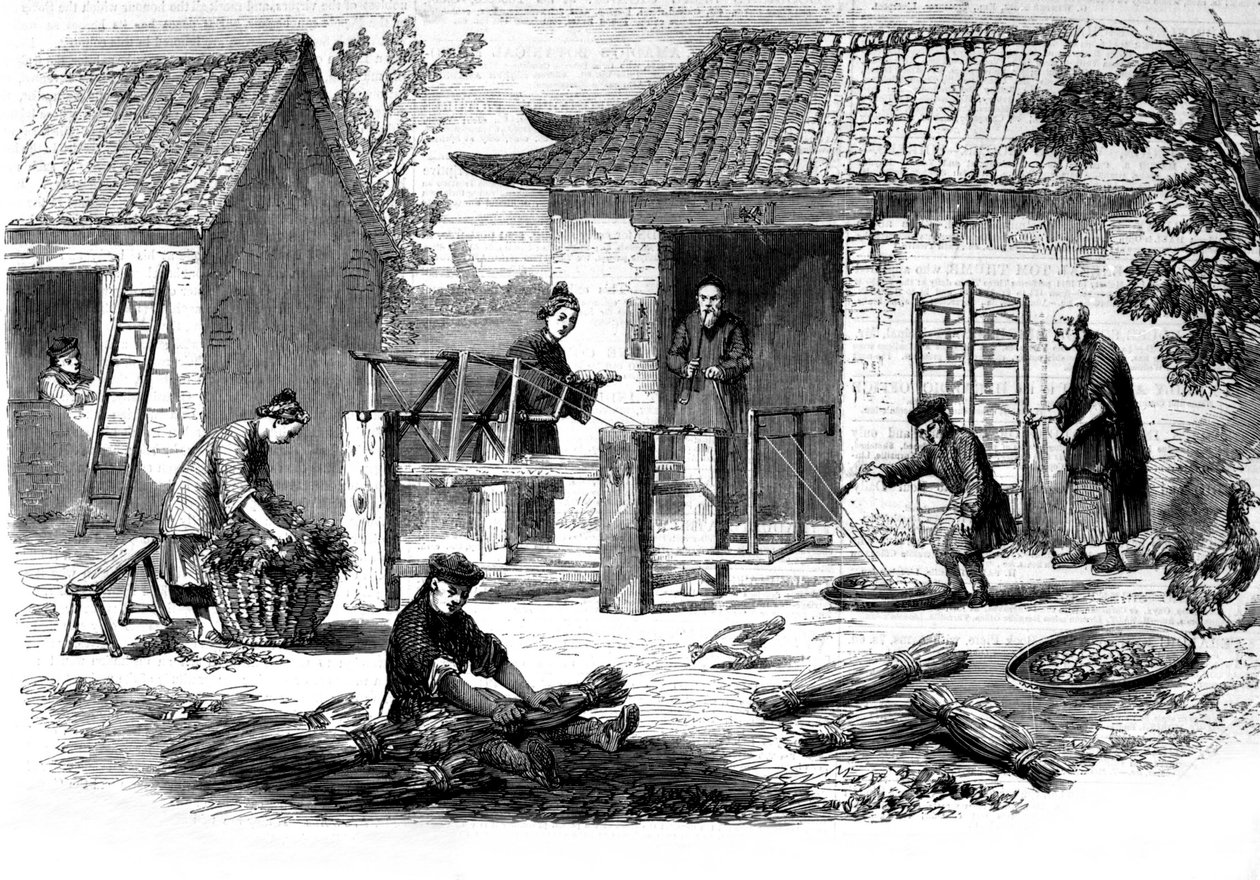 Produzione della seta in Cina e le varie fasi della lavorazione da Unknown artist