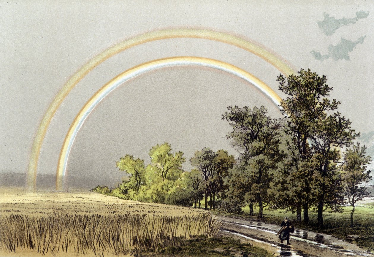 Arcobaleno - in "L