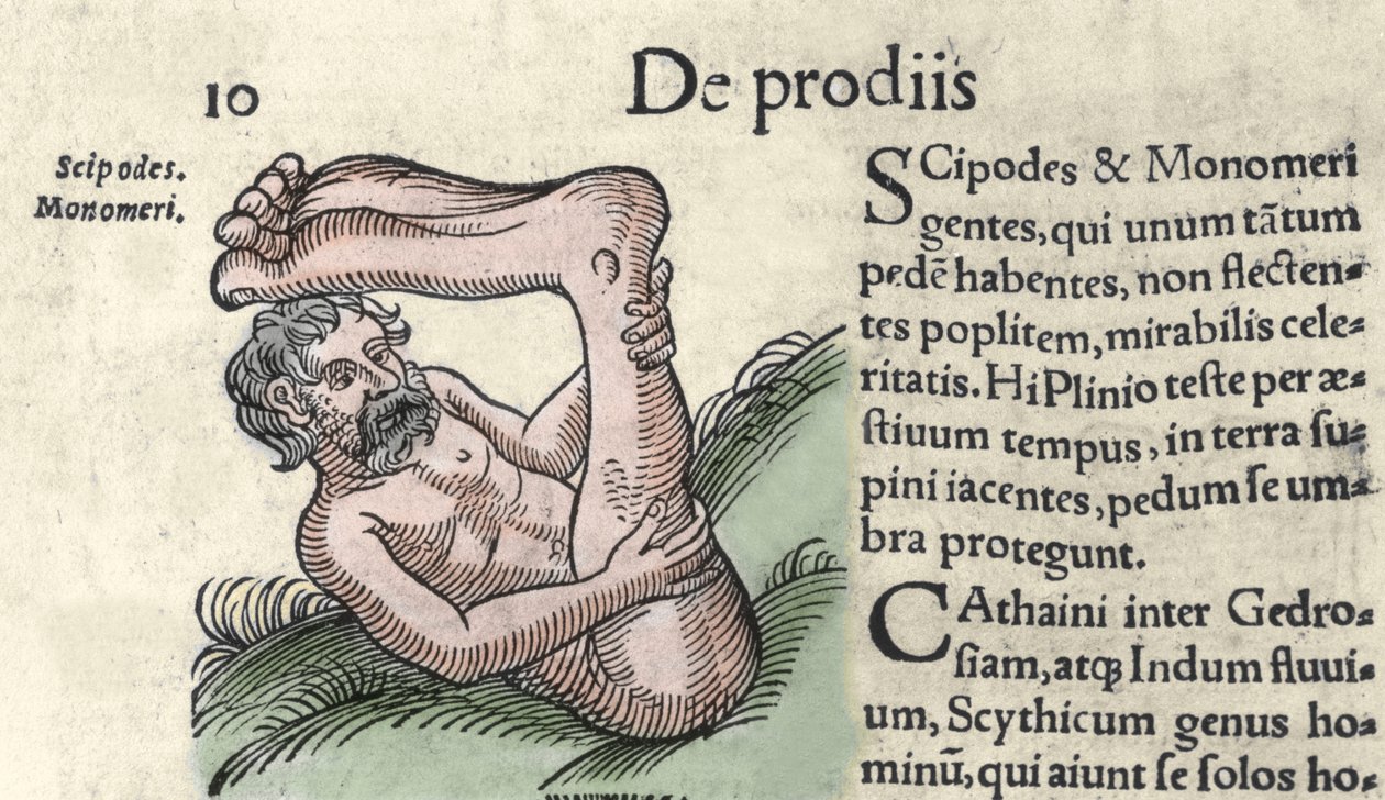 Rappresentazione di un mostro Sciapode. Incisione da 