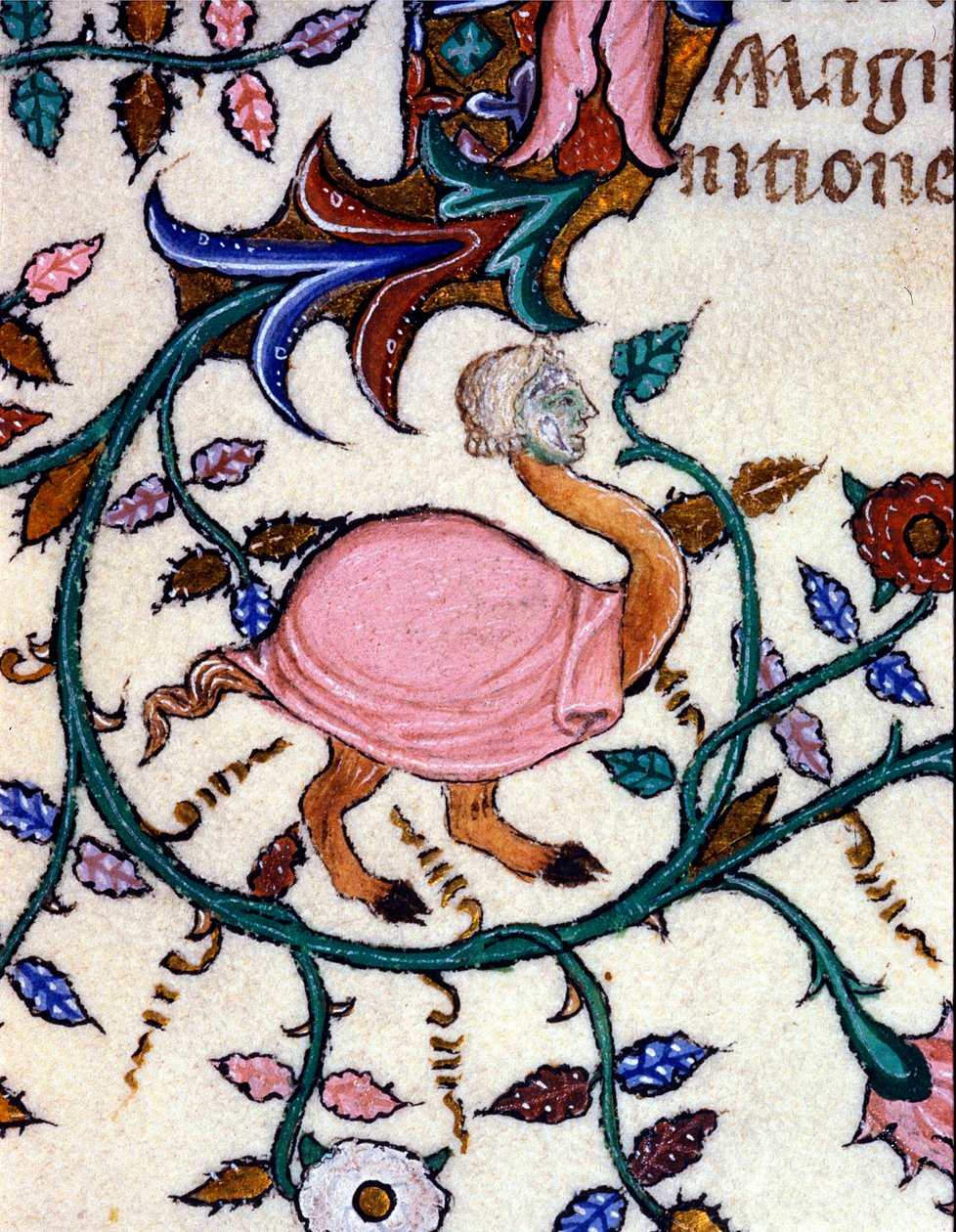 Rappresentazione di un mostro con corpo di struzzo e testa umana. Miniatura di un manoscritto del XIV secolo. Milano, Biblioteca Nazionale Braidense da Unknown artist