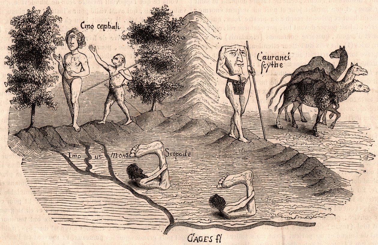 Rappresentazione di tribù medievali e specie animali: Monoculi, Blemmys, Sciopodi e cammelli da Unknown artist