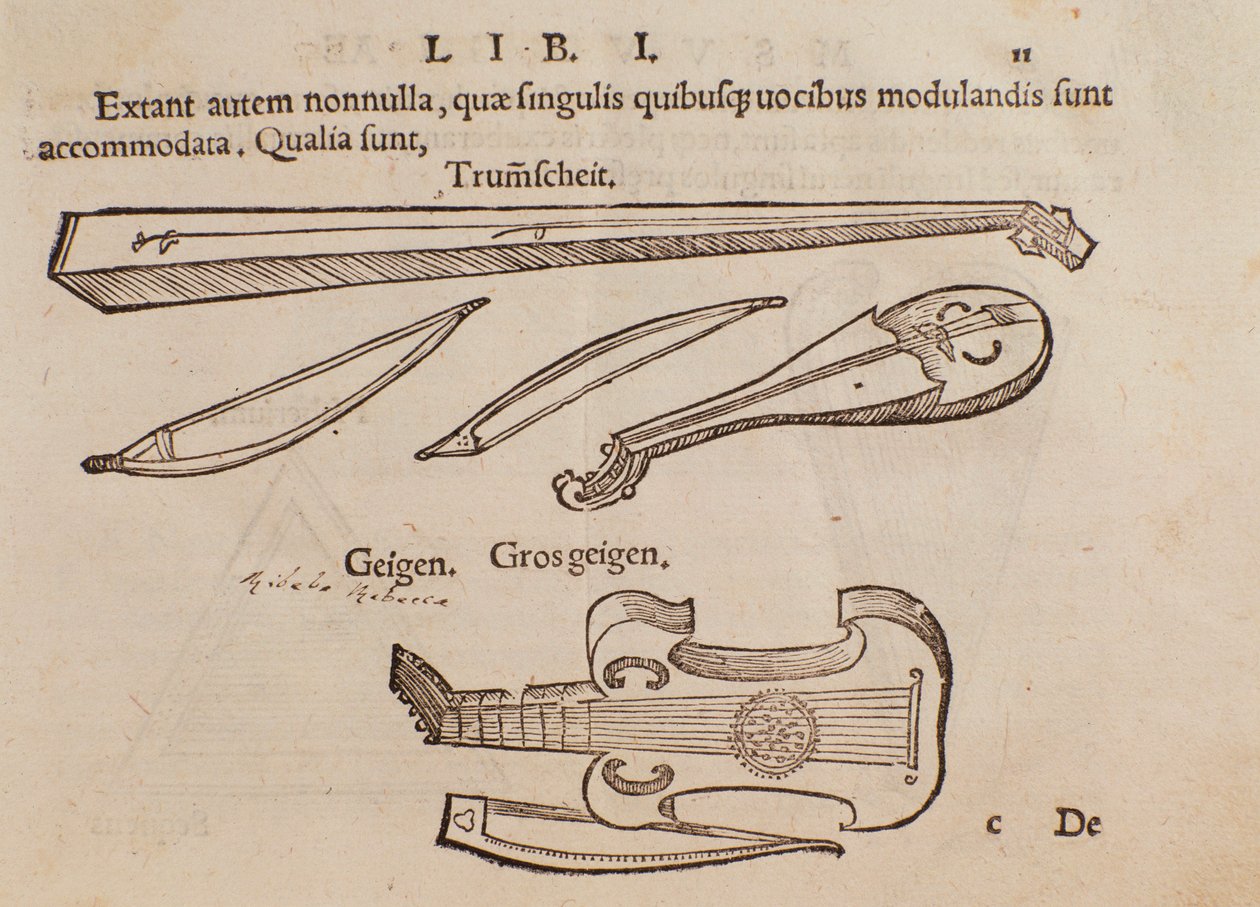 Rappresentazione di strumenti a corda e arciere. Pagina tratta dal manuale pratico di musica Musurgia da Unknown artist