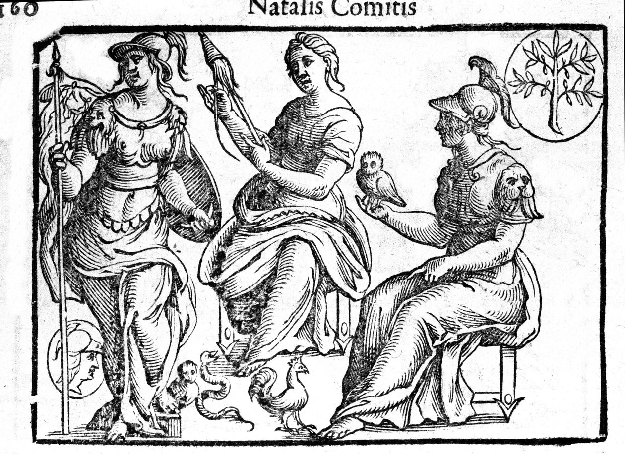 Rappresentazione della divinità Atena. Incisione da 