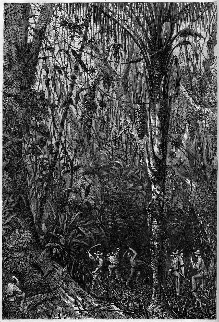 Sviluppo stradale in America Centrale: La perforazione della strada nicaraguense attraverso una foresta vergine (deforestazione). Disegno del tenente Olivier, membro della spedizione del capitano Bedford Pim. Incisione in "L
