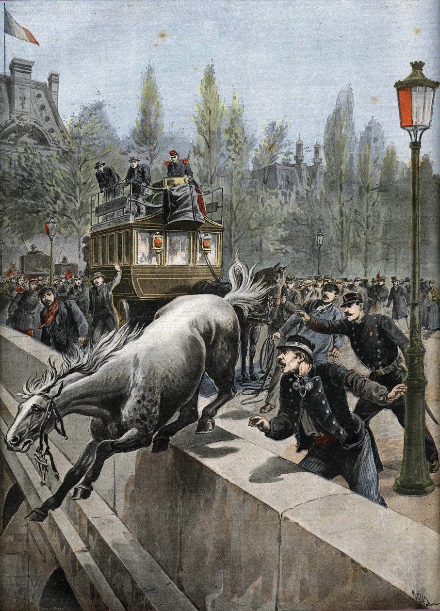 Ponte reale a Parigi nel 1898: un cavallo si è suicidato (stampa) da Unknown Artist