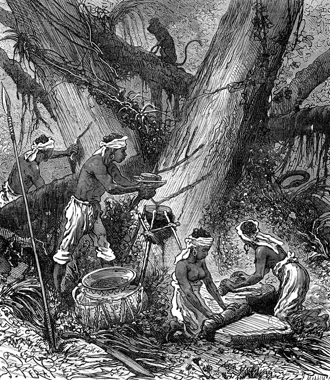 Raccolta di caucciù nella foresta della Malesia (incisione) da Unknown Artist