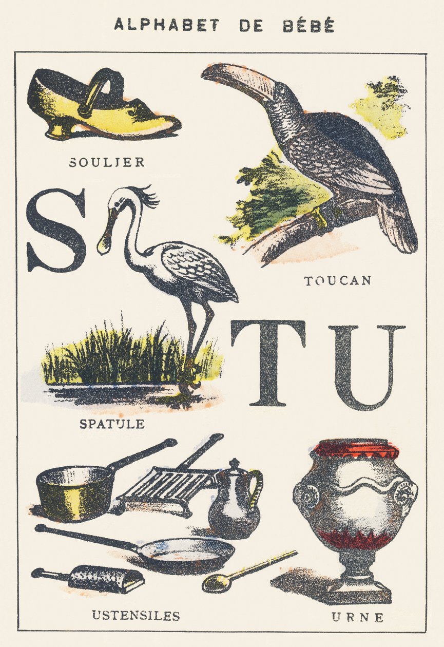 S T U: scarpa, spatola, tucano, utensili, urna da Unknown artist