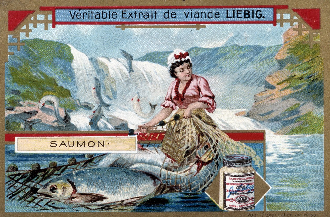 Pesca al salmone - cromolitografia del XIX secolo da Unknown artist