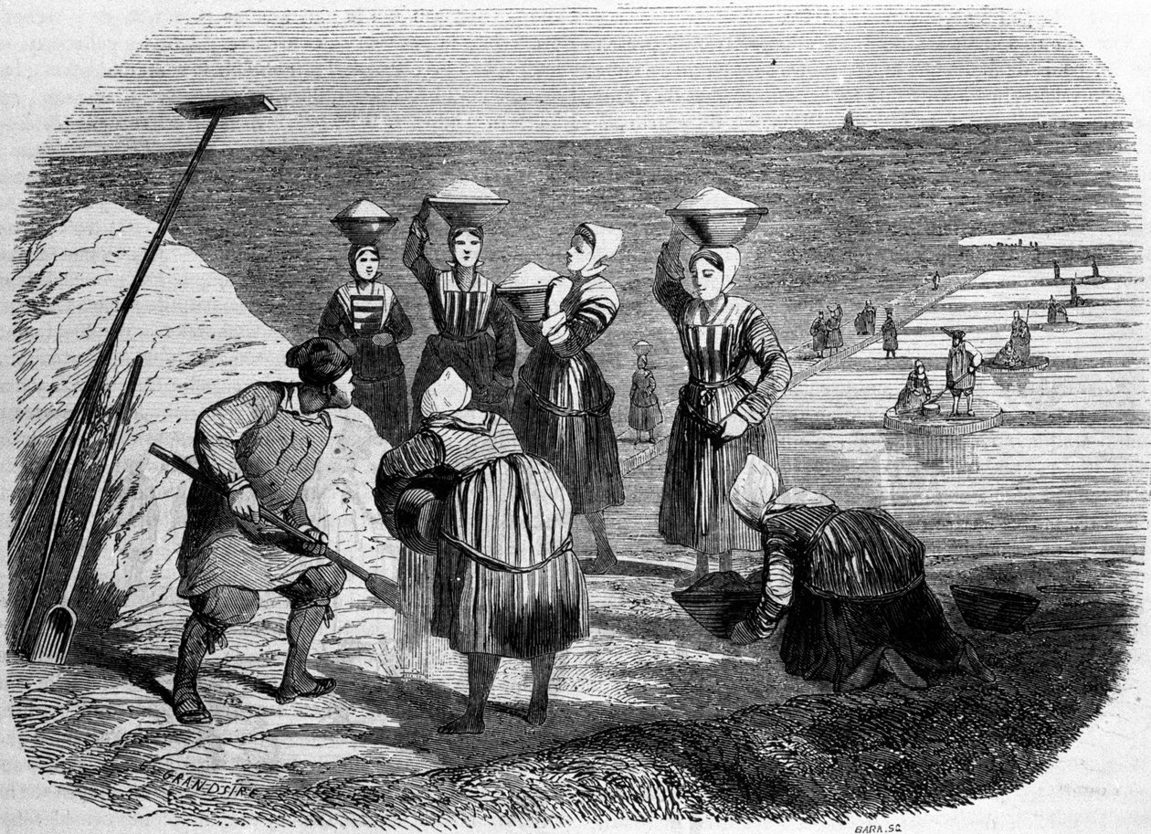 Produzione di sale: donne che lavorano nelle saline. Incisione del XIX secolo da Unknown artist