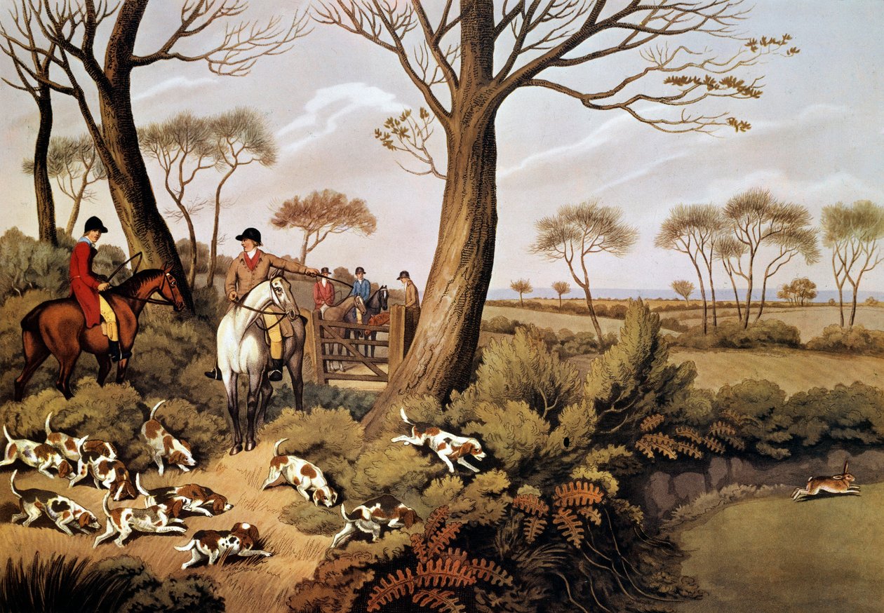 Scena di caccia alla lepre in Inghilterra. Litografia del XIX secolo Gien, museo della caccia da Unknown artist