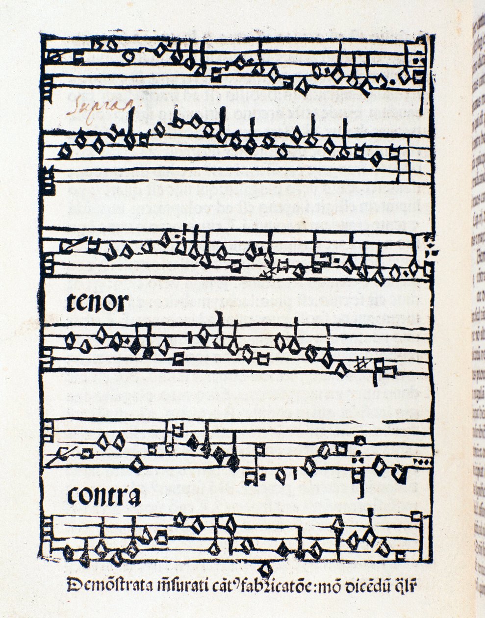 Pagina della partitura per Studi e documenti musicologici di Nicola Burzio da Unknown artist