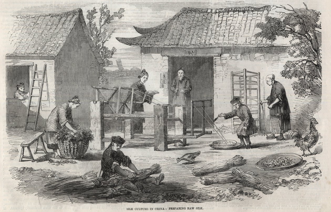 Produzione di seta in Cina e le varie fasi di fabbricazione. da Unknown artist