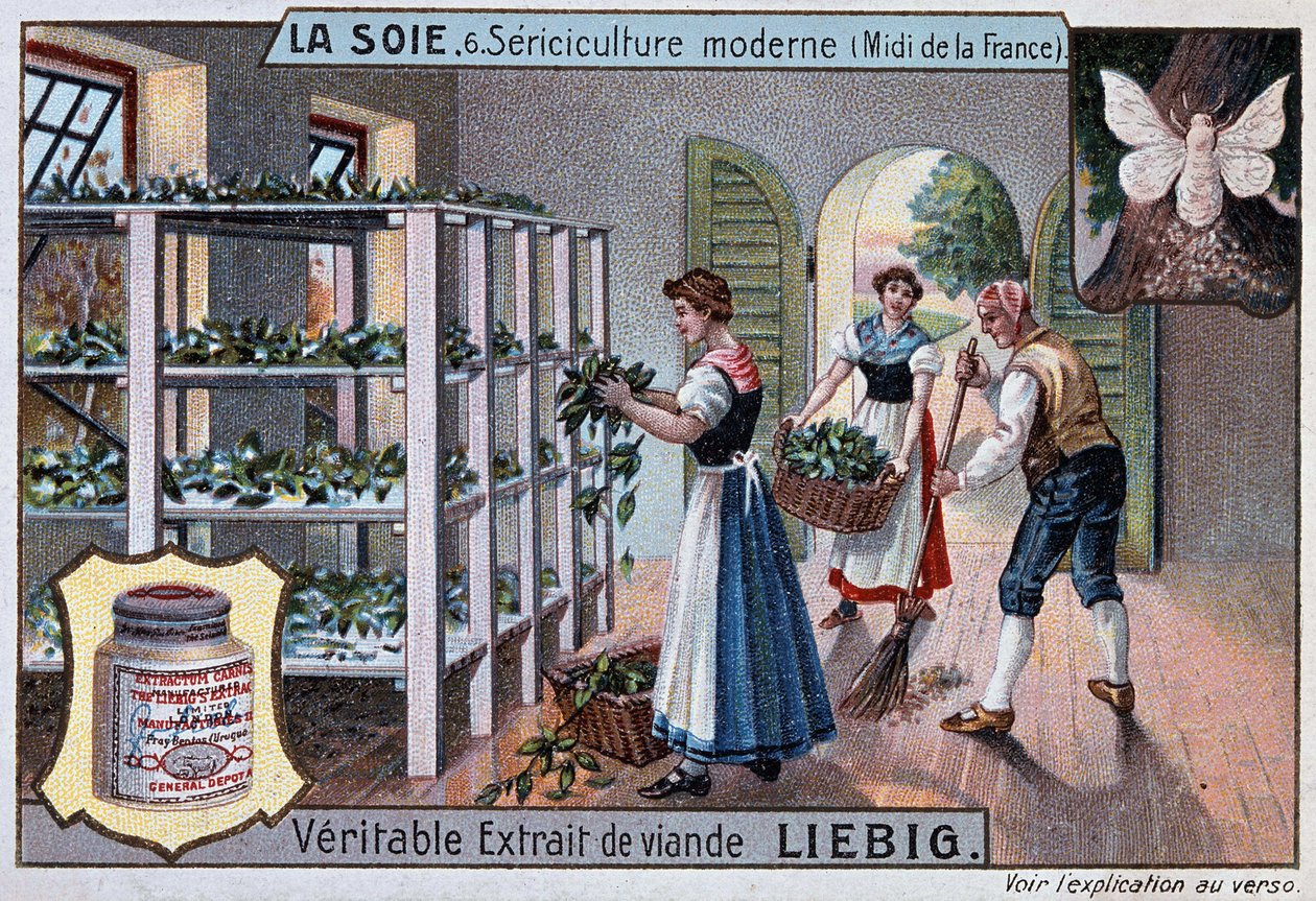 Seta: laboratorio di seta nel sud della Francia, pubblicità Liebig, circa 1895 da Unknown artist