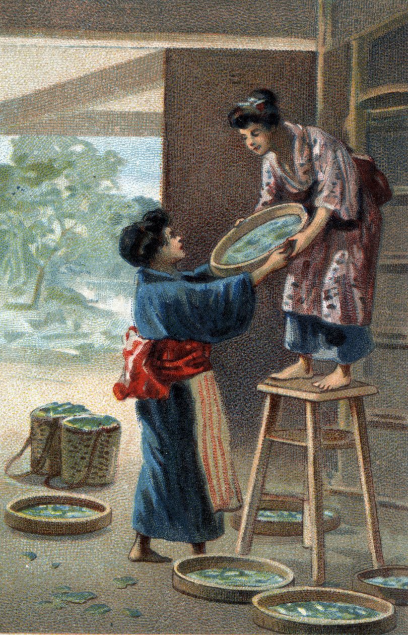 Allevamento di bachi da seta in un magnete giapponese. Cromolitografia della fine del XIX secolo da Unknown artist