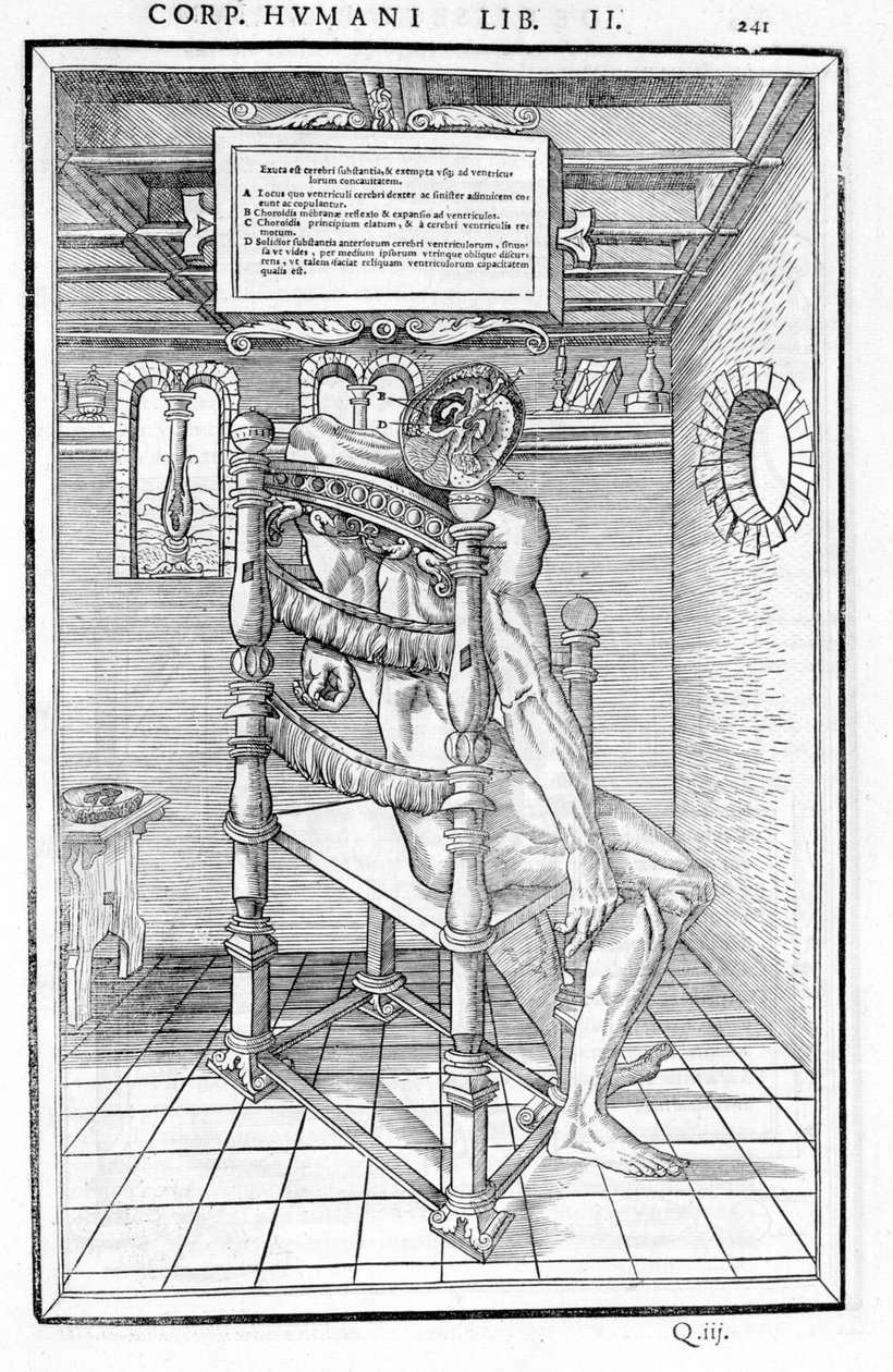 Sezione del cranio. Tavola anatomica di "De dissectione partium corporis humani libri tres..." Carlo Stefano Riverio, Parigi 1545 da Unknown artist
