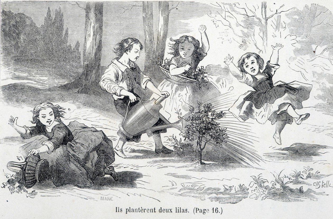 Sophie e i suoi amici piantano il lillà - in "Le disgrazie di Sophie" della Contessa di Ségur, Hachette da Unknown artist