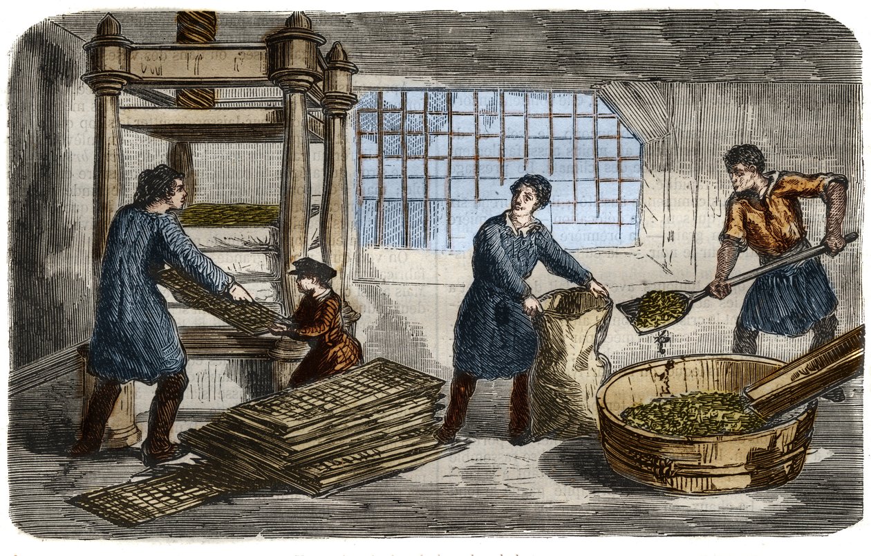 Produzione di zucchero: estrazione del succo dalla polpa di barbabietola. La polpa è imbustata in sacchi impilati sotto il vassoio di una pressa idraulica. Incisione del 1859 in 