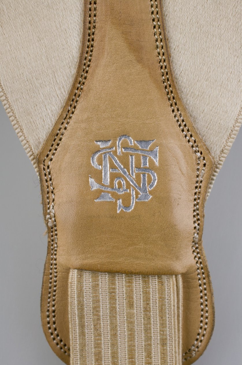 Bretelle, c.1880 (dettaglio), raso bianco ricamato, pelle, argento, produttore sconosciuto da Unknown artist
