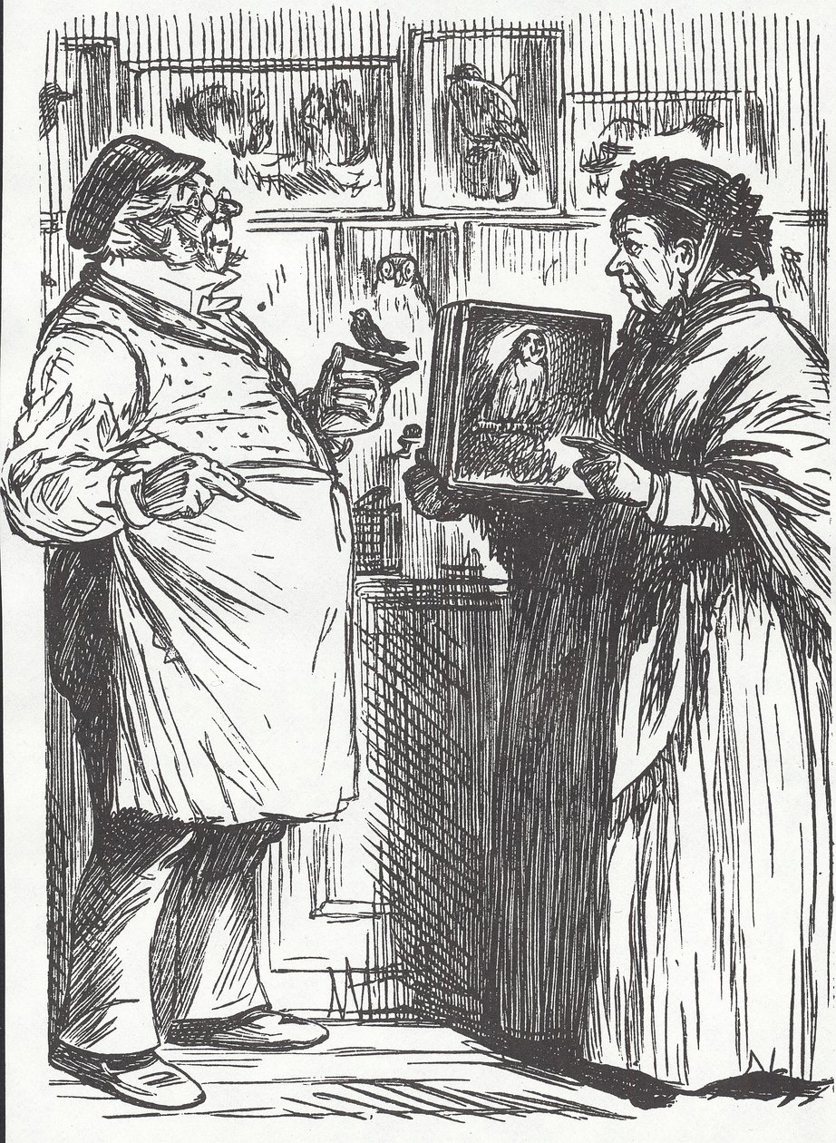 Tassidermista, fine XIX secolo da Unknown artist